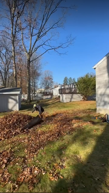 Yard Cleanup Stow OH